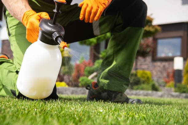 Best Wasp Removal Services  in Clay Center, KS