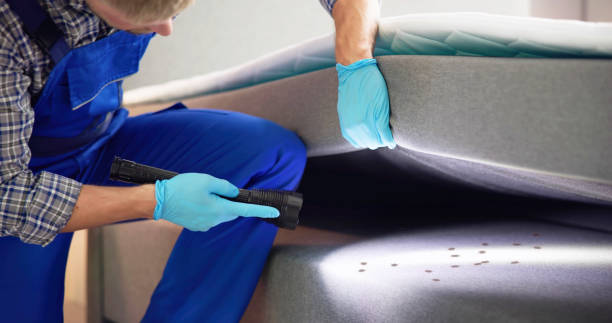 Best Local Pest Control Services  in Clay Center, KS